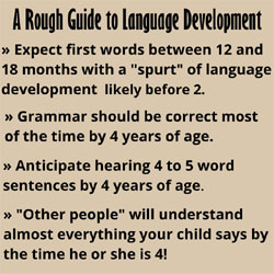 Infographic depicting a rough guide to language development, with the following bullet points: 1. Expect first words between 12 and 18 months with a ?spurt? of language development likely before 2. 2. Grammar should be correct mist of the time by 4 years of age. 3. Anticipate hearing 4 to 5 word sentences by 4 years of age. 4. ?Other people? will understand almost everything your child says by the time he or she is 4.